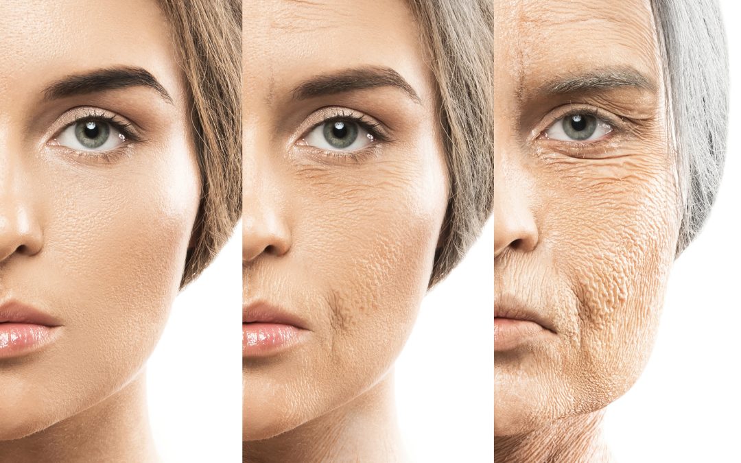 A Holistic Approach to Delaying Facial Aging in HEALTH AND SKINCARE / SOMATOLOGY / BEAUTY AND NAILS / HAIR AND BEAUTY / COSMETOLOGY