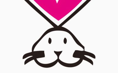 Understanding Cruelty-Free Cosmetics: What Does it Mean and How to Find Them