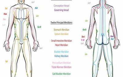 Navigating Wellness: Exploring the Mystical Meridians in Reflexology in HEALTH AND SKINCARE / SOMATOLOGY