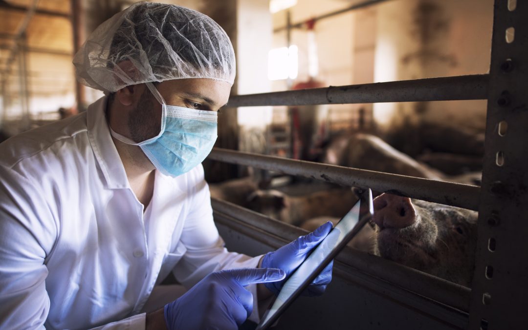 Unveiling the Complex Landscape: Why Animal Testing in Beauty Products Persists in HEALTH AND SKINCARE / SOMATOLOGY / BEAUTY AND NAILS / HAIR AND BEAUTY / COSMETOLOGY / PROFESSIONAL MAKE-UP ARTISTRY