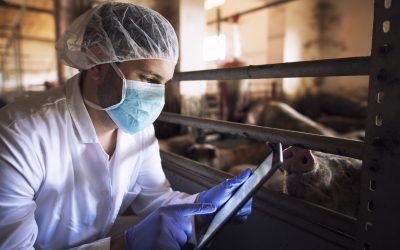 Unveiling the Complex Landscape: Why Animal Testing in Beauty Products Persists in HEALTH AND SKINCARE / SOMATOLOGY / BEAUTY AND NAILS / HAIR AND BEAUTY / COSMETOLOGY / PROFESSIONAL MAKE-UP ARTISTRY