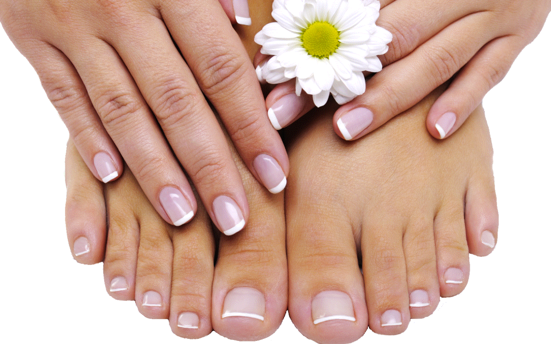 The Timeless Elegance of French Nails: A Glimpse into the Artistry of HEALTH AND SKINCARE / SOMATOLOGY / BEAUTY AND NAILS / HAIR AND BEAUTY / COSMETOLOGY Professionals