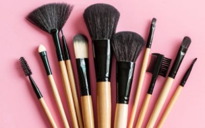 MAKEUP BRUSHES IN HEALTH AND SKINCARE / SOMATOLOGY / BEAUTY AND NAILS / HAIR AND BEAUTY / COSMETOLOGY / PROFESSIONAL MAKE-UP ARTISTRY